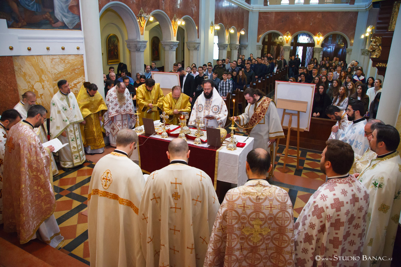 50 Photo www.StudioBanac.at